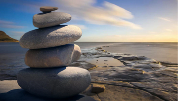 A Beginner's Guide to the Ancient Science of Life
