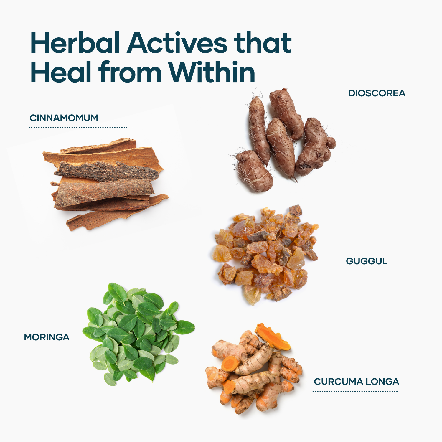 Orthocare Juice + Tablets