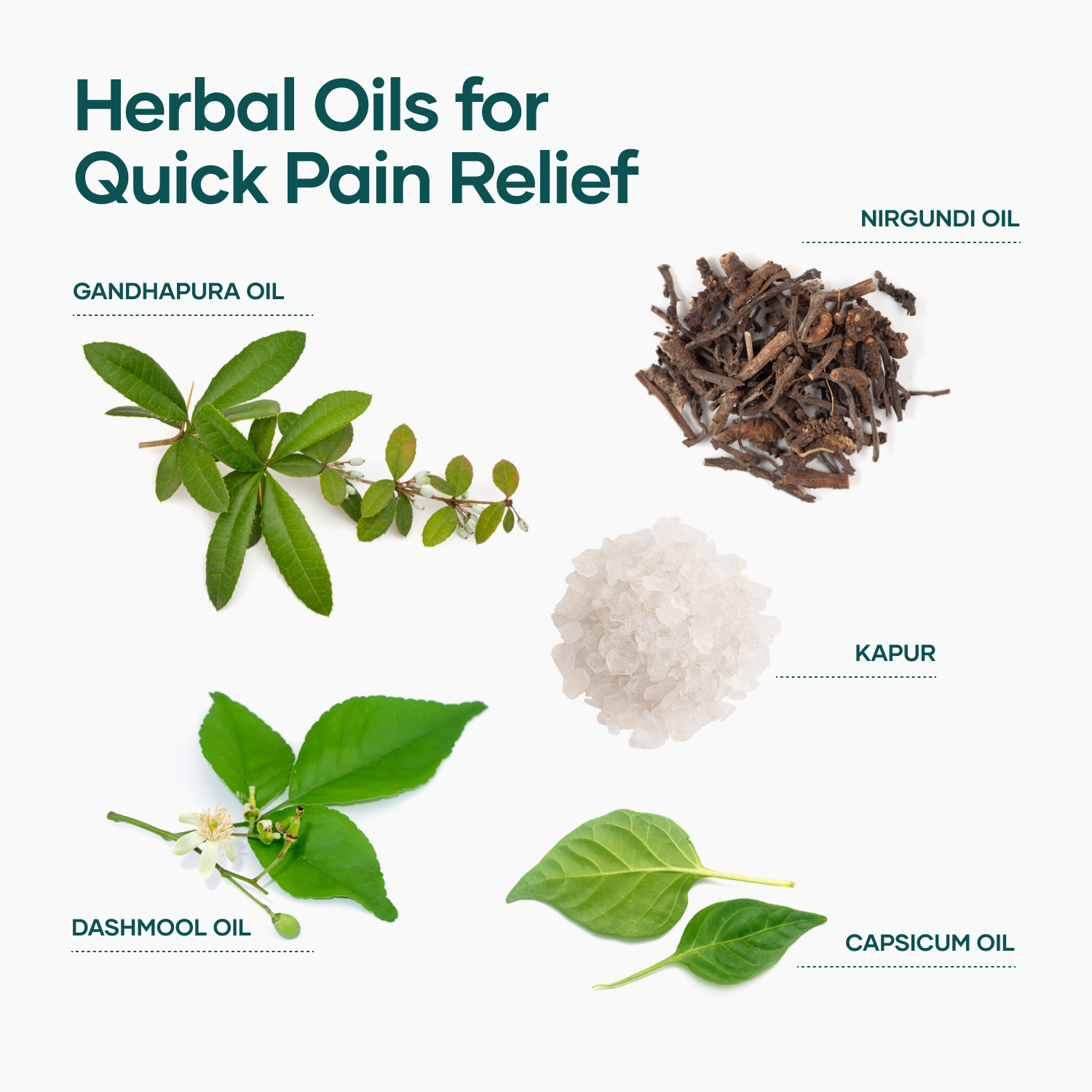 Orthocare Pain Relief Combo