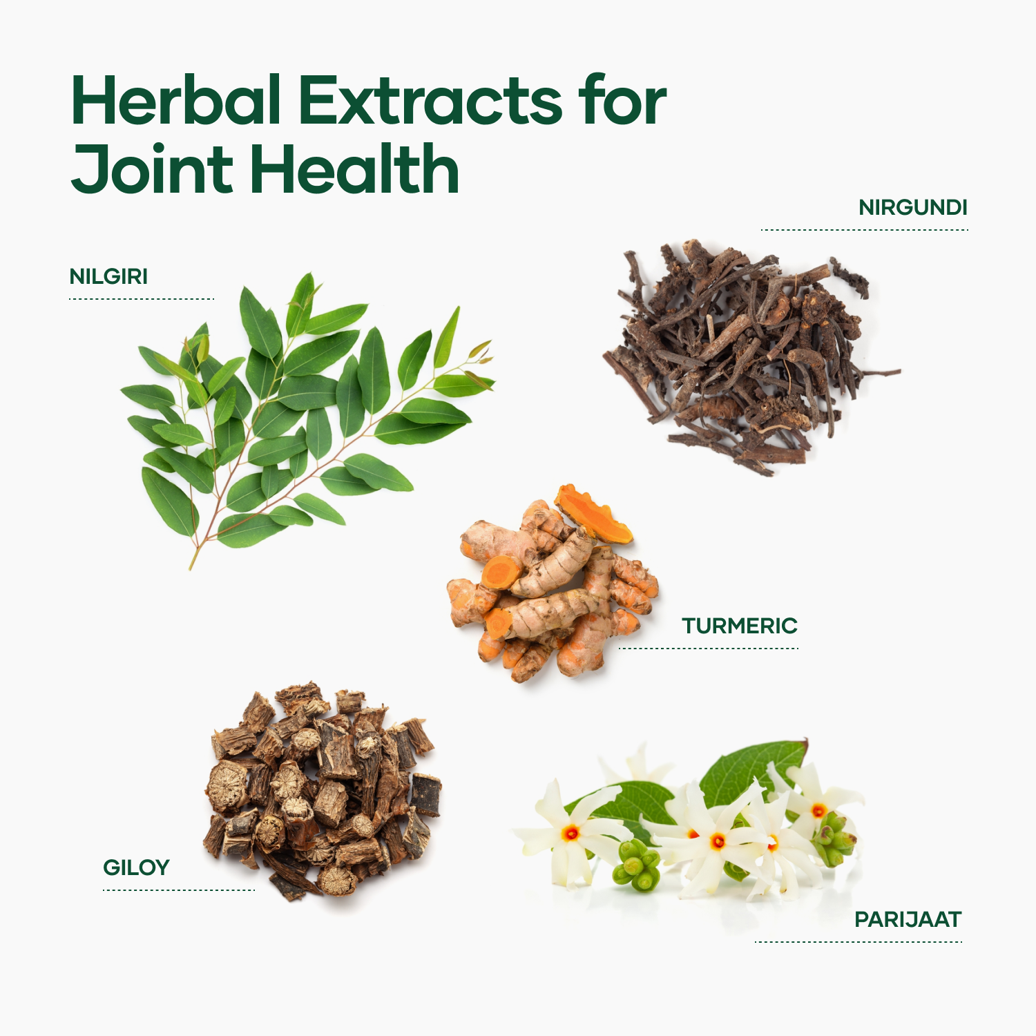 Orthocare Juice + Tablets